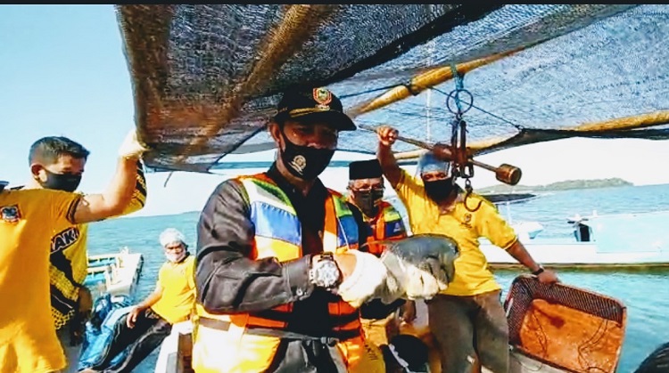 Dislutkan Kalsel Berhasil Budidayakan Ikan Bawal Bintang