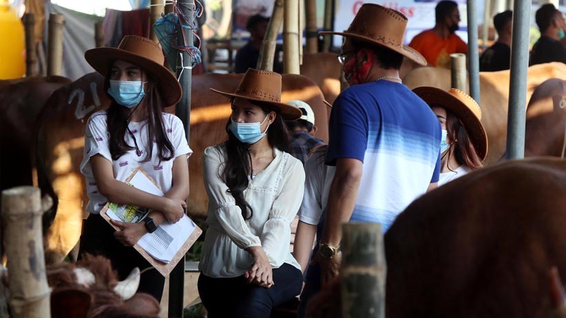 SPG Cantik Jual Hewan Kurban di Surabaya - Bagian 2