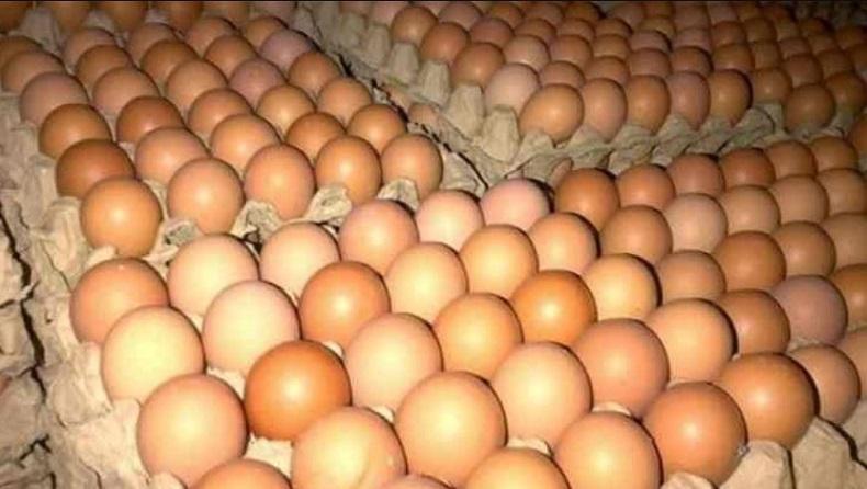 Masuk Pekan Ketiga Desember Harga Telur  Ayam Ras di Ambon 
