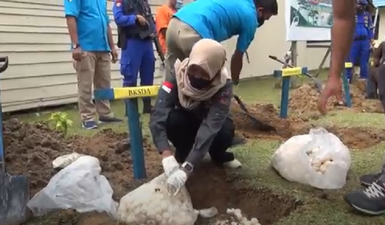 Musim Penyu Bertelur, Satgas Polhut Kalbar Awasi Penyelundupan di 2 Wilayah Ini