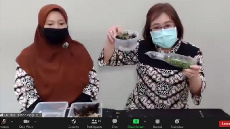 Ubaya Gelar Pelatihan Budidaya Bibit Anggrek Botol, Ide Sumber Penghasilan Tambahan