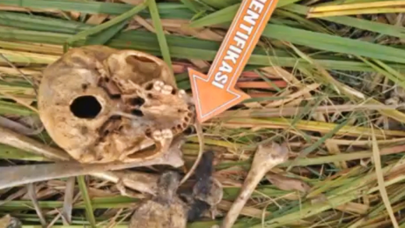 Cari Kayu, Pria di Ogan Ilir Temukan Tengkorak Manusia Tersangkut di Pohon