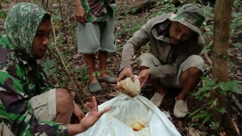 Pandemi Covid-19, Petani Madu Hutan di Maros Banjir Pesanan