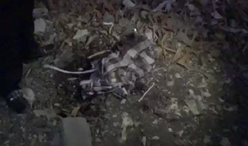 Warga Denpasar Temukan Mayat Bayi Terbungkus Sarung Dikubur di Lahan Kosong