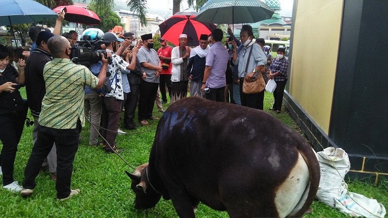 Jelang Idul Adha Dprd Maluku Serahkan Hewan Kurban Ke Pengurus Masjid Raya Ambon Bagian 1