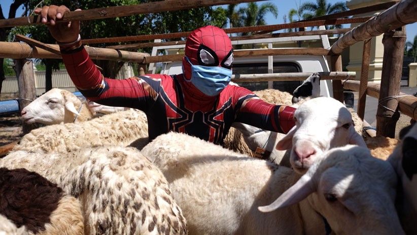 Aksi Spiderman Salurkan Hewan Kurban untuk Anak-Anak Pengidap HIV/AIDS - Bagian 1