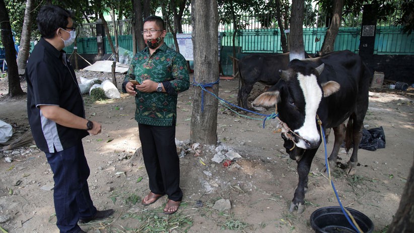 MNC Peduli Serahkan Hewan Kurban ke Masjid Istiqlal - Bagian 3