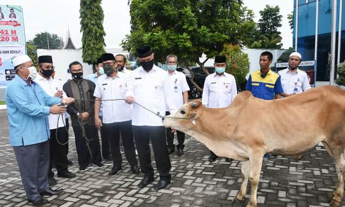 Karyawan Perumda Air Minum Kota Padang Distribusikan 37 Ekor Hewan Kurban