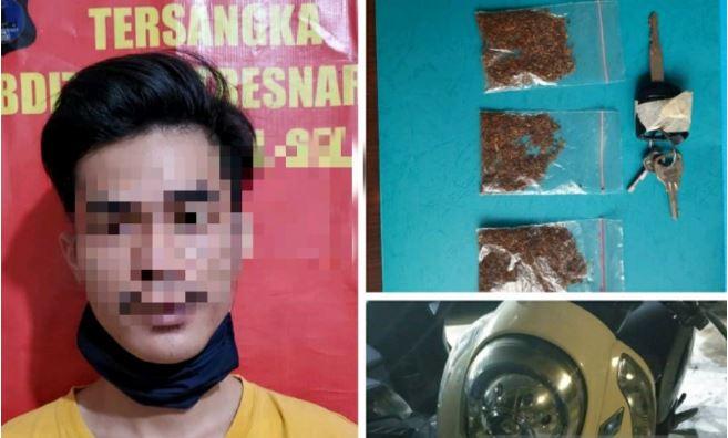 Edarkan Tembakau Gorila, Mahasiswa di Banjarmasin Ditangkap Polisi