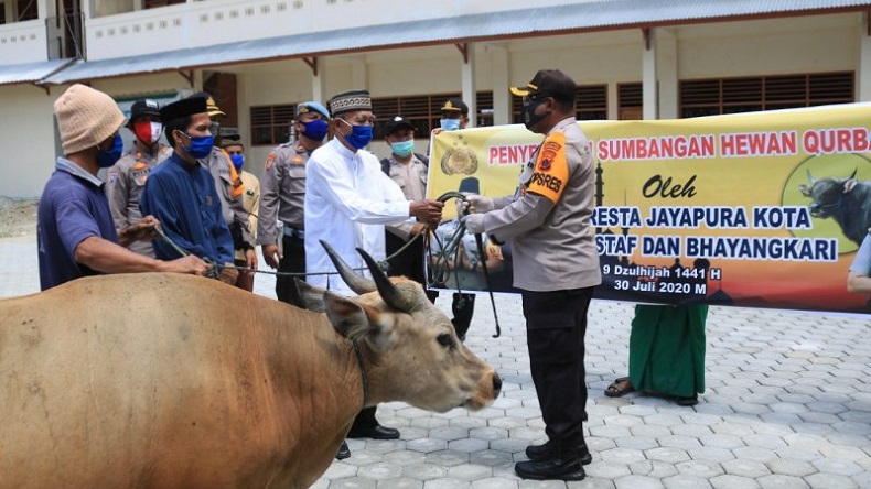 Kapolresta Jayapura Kota Sumbangkan 2 Ekor Sapi ke Ponpes dan Panti Asuhan