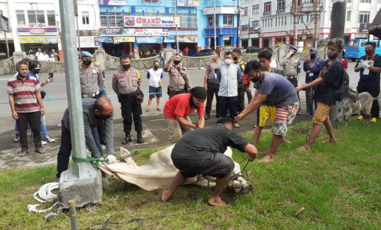 title Kapolresta Manado: Idul Adha Momentum Kebersamaan dan Saling Berbagi Kapolresta Manado: Idul Adha Momentum Kebersamaan dan Saling Berbagi