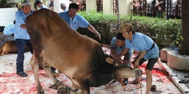 Ridwan Kamil Terbitkan Kepgub Protokol Pelaksanaan Ibadah Kurban di Jabar