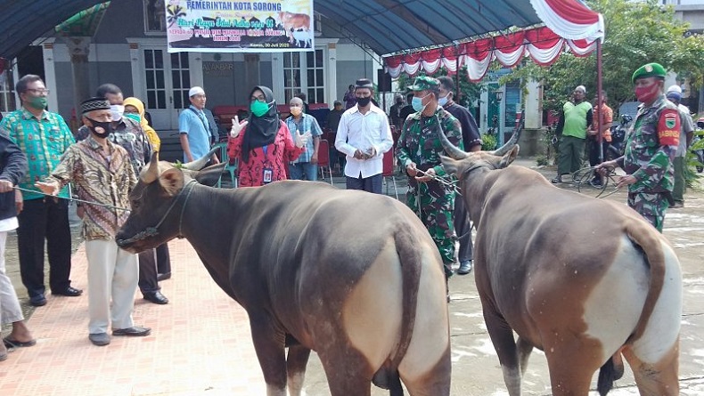 Pemkot Sorong Sumbangkan 60 Ekor Sapi ke Masjid dan Musala