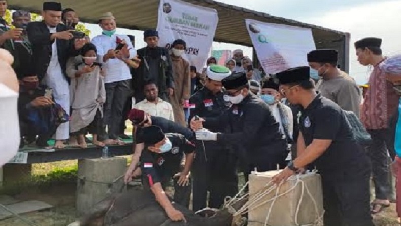 Cerita UAS Pertama Kali Potong Hewan Kurban: Jangankan Sapi, Sembelih Ayam pun Belum Pernah