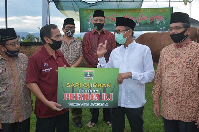 Gubernur Serahkan Sapi Kurban Milik Presiden Jokowi ke Masjid Raya Sumbar
