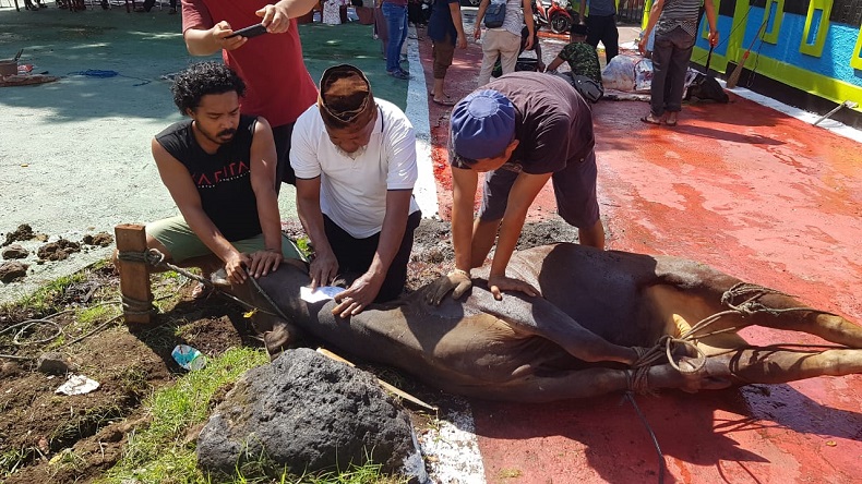 Cegah Penyebaran Covid-19, Masjid Agung Medan Tiadakan Penyembelihan dan Pembagian Daging Kurban