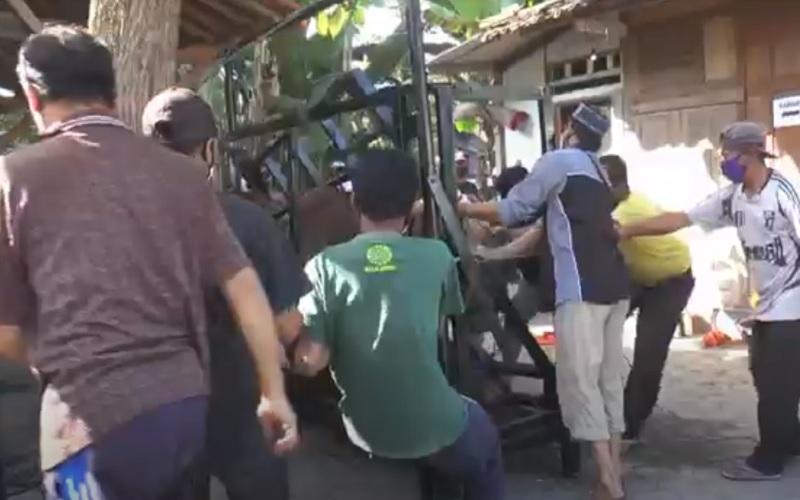 title Sapi di Bantul Mengamuk dan Rusak Kerangka Besi saat Akan Disembelih Sapi di Bantul Mengamuk dan Rusak Kerangka Besi saat Akan Disembelih