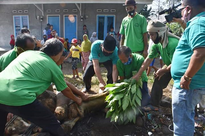 Pantau Perayaan Idul Adha, Wali Kota Padang Sembelih Hewan Kurban di Musala Al Ikhlas