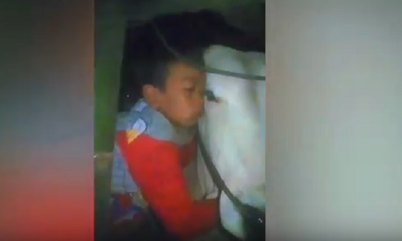 Viral, Tangis Haru Bocah di Agam Tak Rela Sapi Kesayangan Dikurbankan
