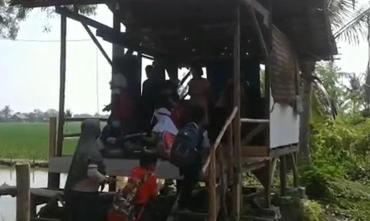 title Tak Punya HP, Murid SD di Subang Belajar di Area Persawahan Tak Punya HP, Murid SD di Subang Belajar di Area Persawahan