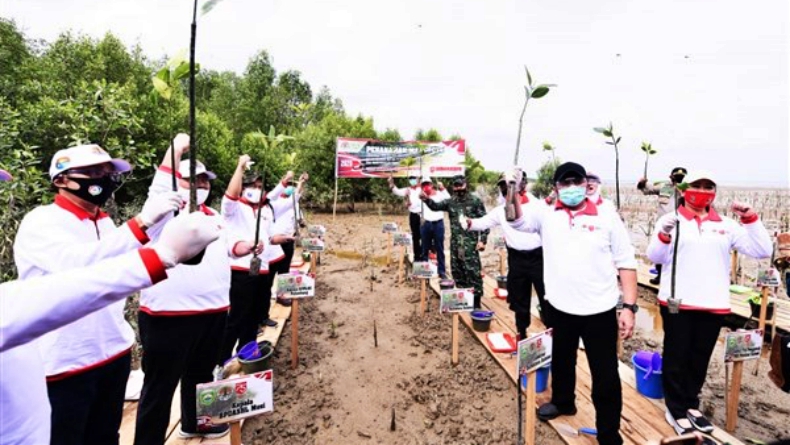 Gubernur Herman Deru: Taman Wisata Mangrove Sumsel Siap Saingi Bali
