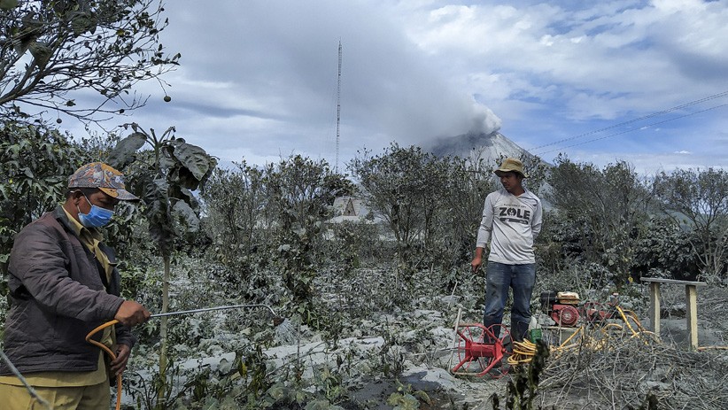 Pascaerupsi Gunung Sinabung, Lahan Pertanian Tertutup Debu Vulkanik - Bagian 1