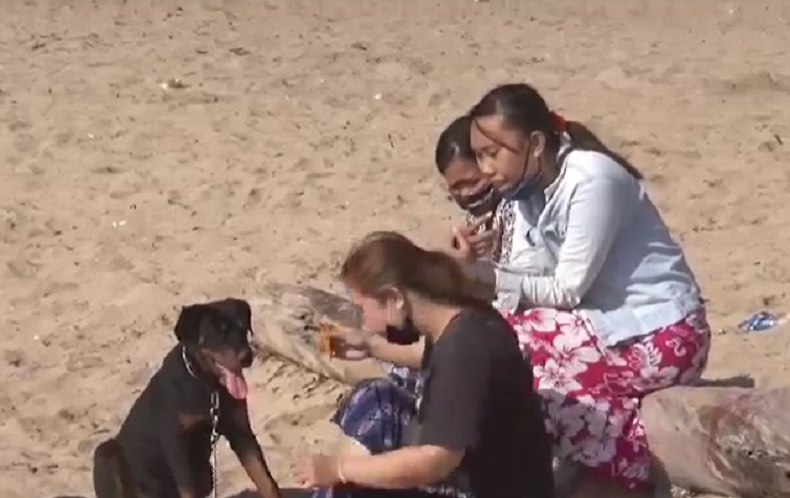 Pantai di Bali Kembali Dibuka, Warga Gembira Bisa Berwisata Lagi