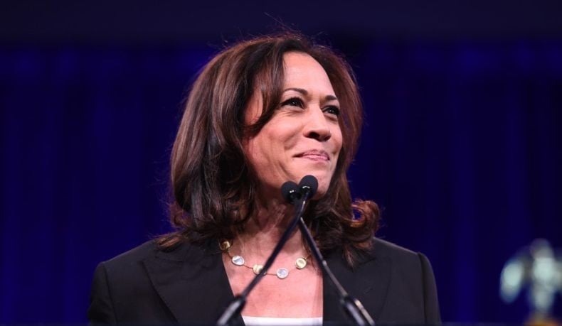 Mengenal Kamala Harris, Calon Wapres Kulit Hitam Pertama AS Pendamping ...