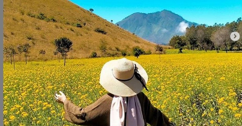 5 Keindahan Desa Jampit Bondowoso, seperti Berada di Jeju Island