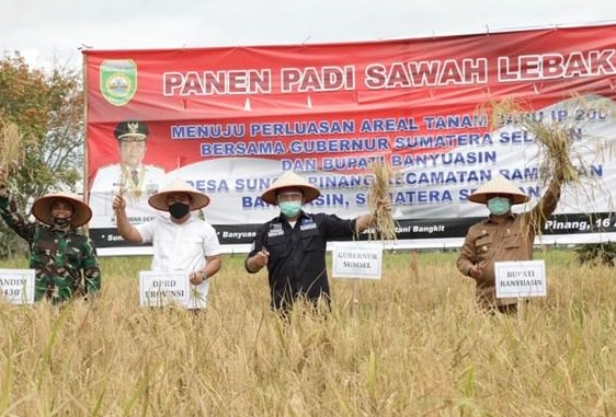 Gubernur Herman Deru Instruksikan Bupati Banyuasin Gaspol Kejar 3 Besar Produksi Pangan Nasional