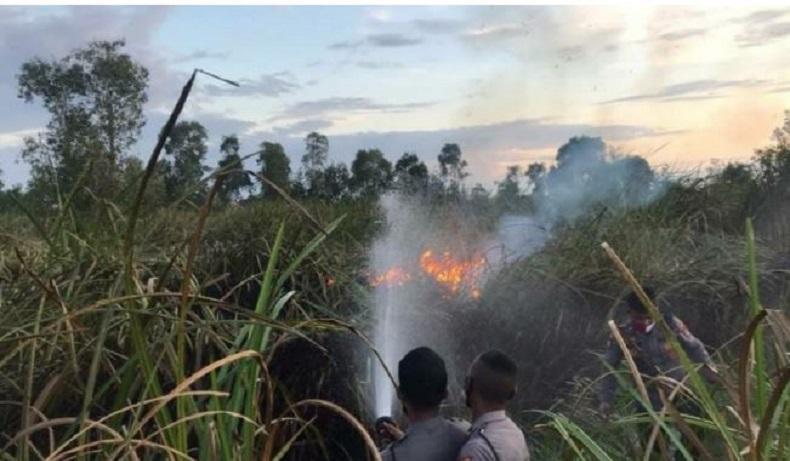 title Titik Panas Mulai Muncul di Kalsel, Lahan 5 Hektare Terbakar Titik Panas Mulai Muncul di Kalsel, Lahan 5 Hektare Terbakar