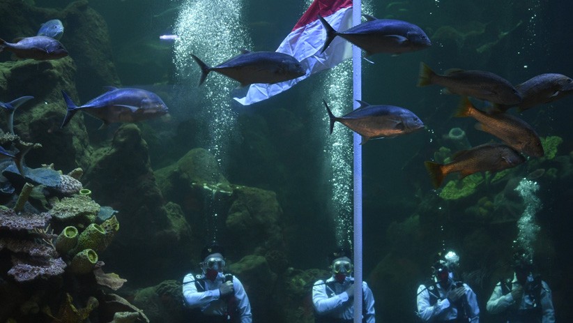 Unik, Penyelam Gelar Upacara HUT ke-75 RI di Dalam Akuarium - Bagian 2