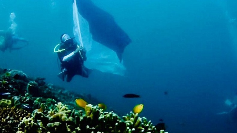 Sambut HUT RI, Penyelam Konvoi Bendera Merah Putih di Bawah Laut