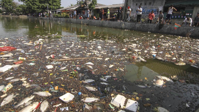 Akibat Tercemar Limbah, Ikan-Ikan di Situ Rawa Besar Depok Mati - Bagian 1