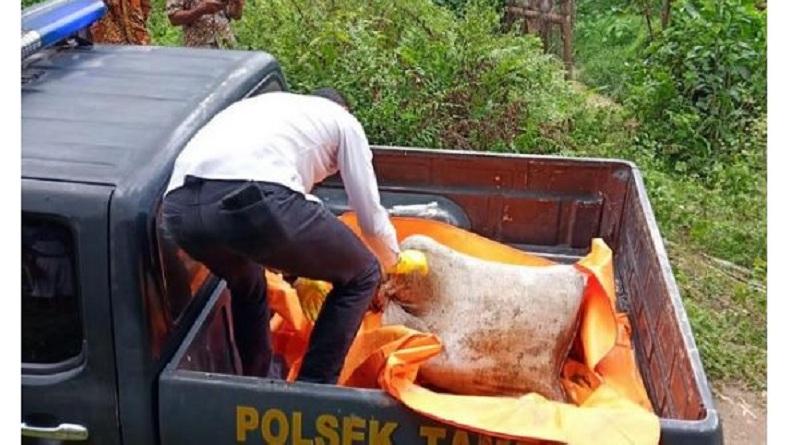 Geger Mayat Tinggal Tengkorak Ditemukan dalam Karung di Deliserdang