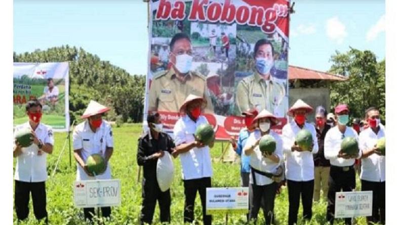 Pemprov Sulut Lindungi Petani dengan Asuransi Gagal Panen, Termasuk bagi Peternak