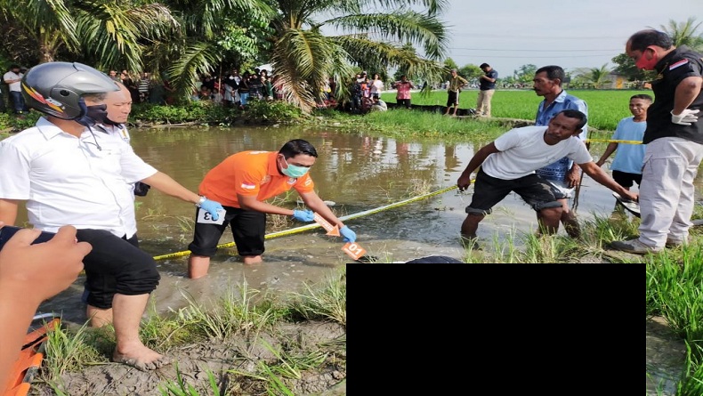 Sesosok Mayat Bersinglet Ditemukan di Persawahan Batubara