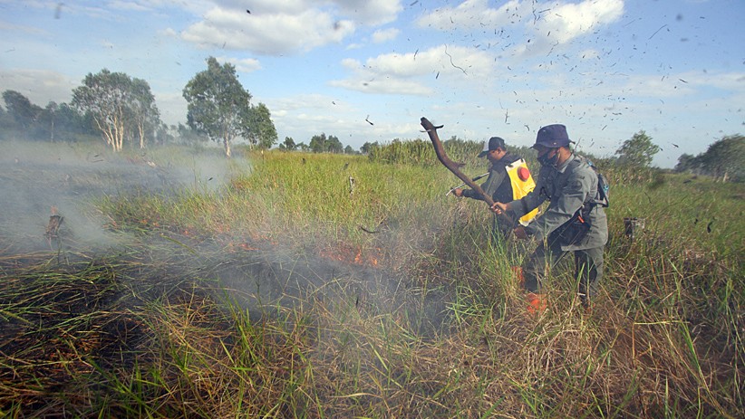 BPBD Kalsel Kerahan 4 Helikopter Padamkan Kebakaran Hutan dan Lahan - Bagian 2