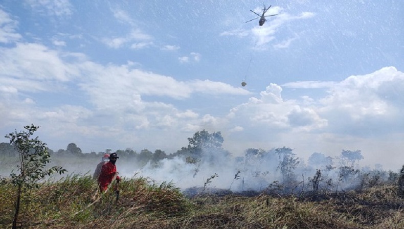 53 Hektare Lahan di Banyuasin dan Ogan Ilir Hangus Terbakar dalam 3 Hari