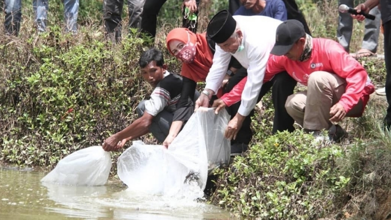 Tingkatkan Populasi, Pemkab OKU Sebar 19.000 Benih Ikan Baung ke Sungai Ogan