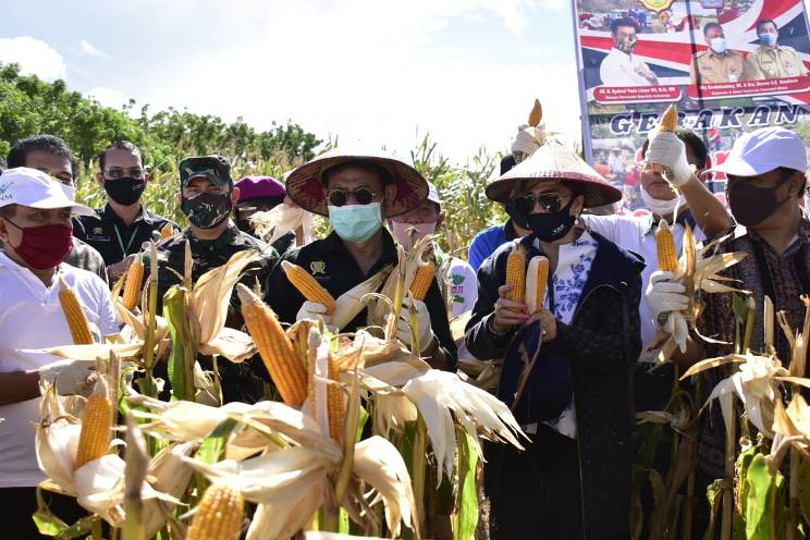 Puji Lahan Subur di Sulut, Mentan: Tidak Ada Petani Miskin, yang Ada Malas
