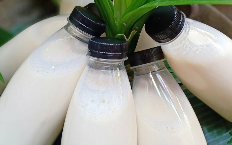 5 Cara Membuat Susu Kedelai Segar, Ada Pilihan Rasa Pandan hingga Buah