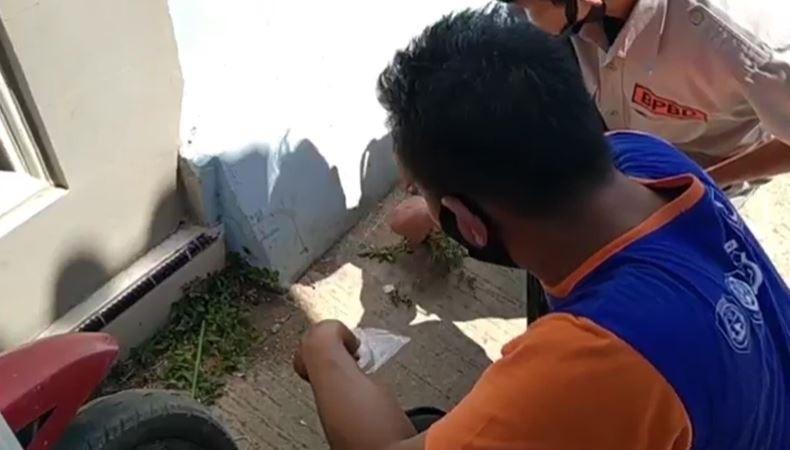 Permukiman Warga Indramayu Diteror Tomcat, Gatal-Gatal di Wajah