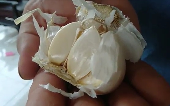 title Ini Manfaat Konsumsi Bawang Putih untuk Kesehatan di Masa Pandemi Ini Manfaat Konsumsi Bawang Putih untuk Kesehatan di Masa Pandemi