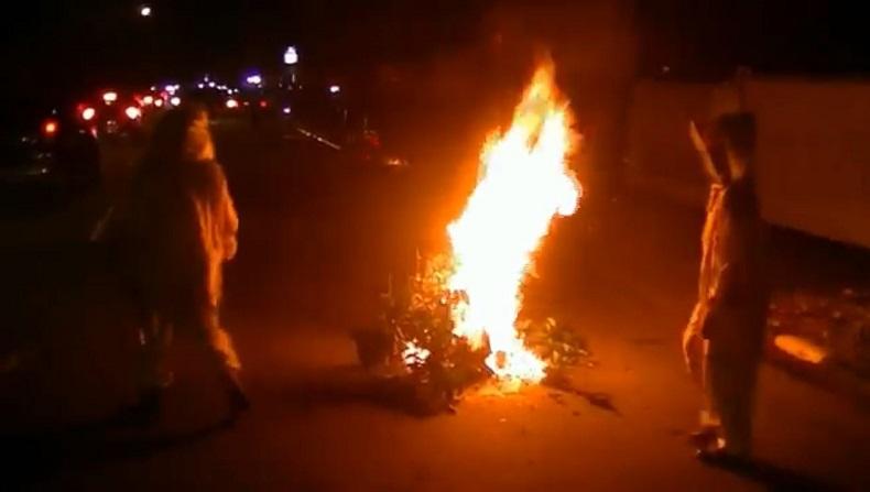 Sarang Tawon Jumbo Jatuh di Jalan Kota Padang, Pengunjung Warung Berhamburan