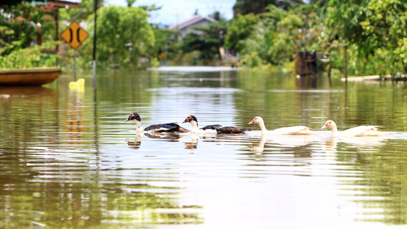 Ratusan Rumah di Kecamatan Kapuas Hulu Kalimantan Barat Terendam Banjir - Bagian 2