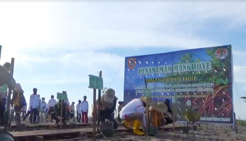 Pulihkan Ekonomi, Kelompok Tani di Tanah Laut Diberdayakan Tanam Mangrove