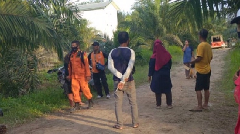 title Anak Berkebutuhan Khusus hilang sejak Jumat, Tim SAR Sisir Kebun Sawit di Pangkalan Bun Anak Berkebutuhan Khusus hilang sejak Jumat, Tim SAR Sisir Kebun Sawit di Pangkalan Bun