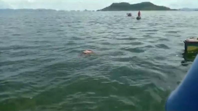 Mayat Perempuan Tua Ditemukan Mengapung di Perairan Sibolga