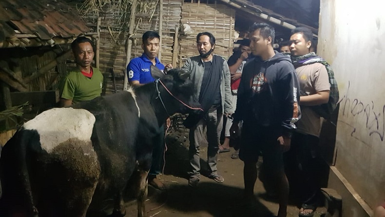 title Ikuti Jejak Kaki, Sapi yang Hilang Dicuri di Probolinggo Ditemukan Polisi di Kebun Ikuti Jejak Kaki, Sapi yang Hilang Dicuri di Probolinggo Ditemukan Polisi di Kebun